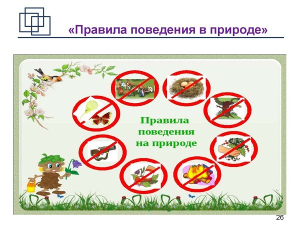 Правила поведения на природе