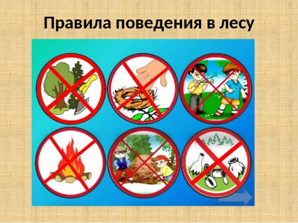 Знаки поведения в природе