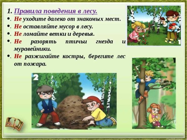 Безопасность на природе