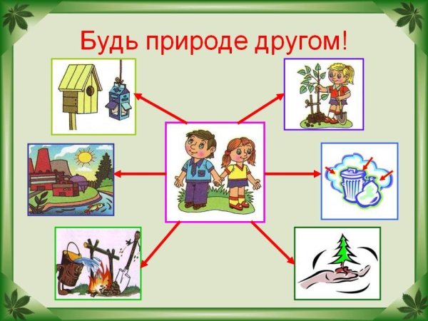 Безопасное поведение на природе
