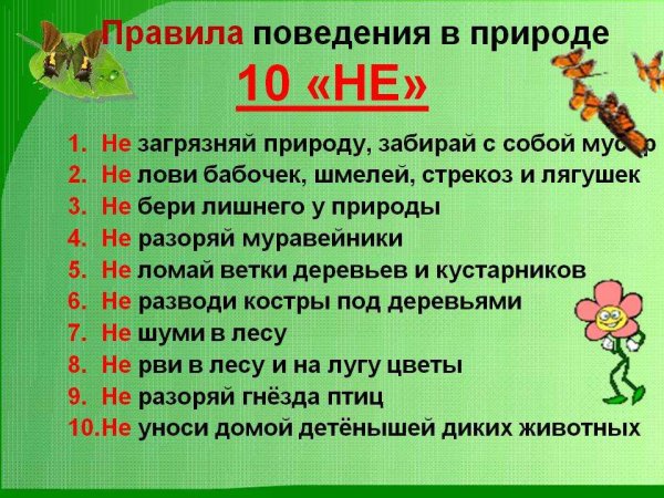 Безопасное поведение на природе