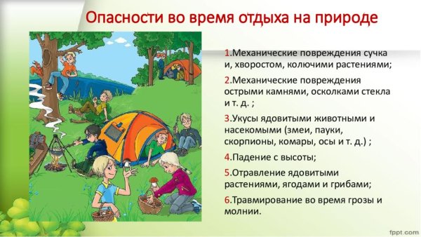 Правила поведения на природе