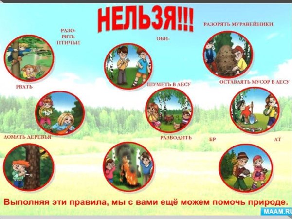 Поведение в природе для дошкольников