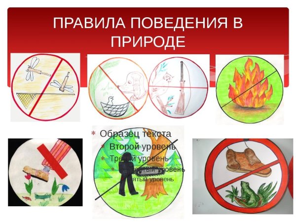 Павилапведенияв природе