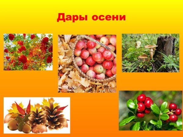 Евгения Владимировича Зуева «дары леса».