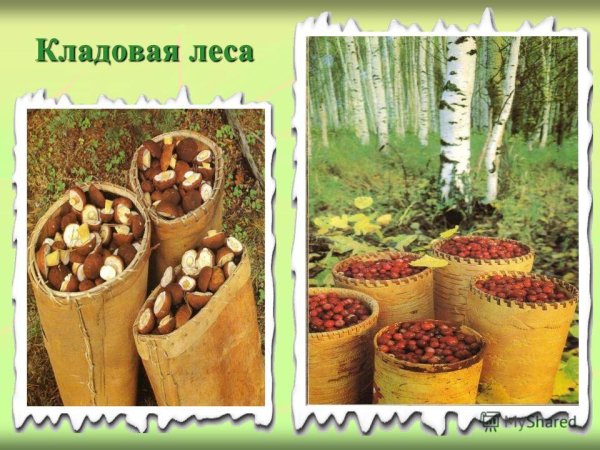 Плоды осени