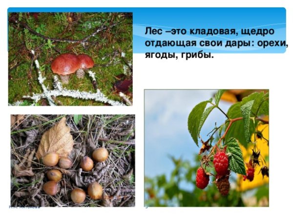 Корзинка дары осени