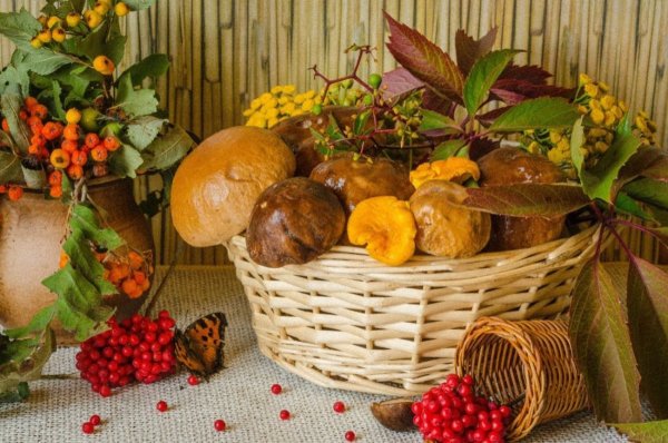 Дары осени фото