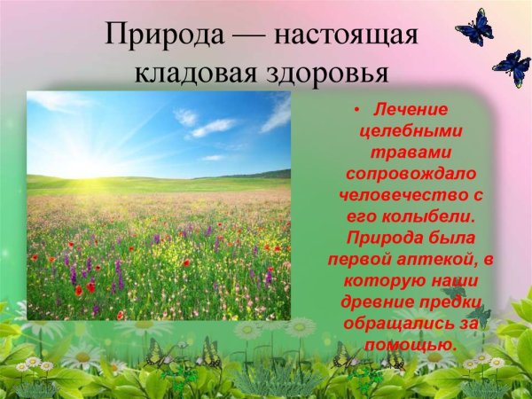 Кладовая леса грибы и ягоды