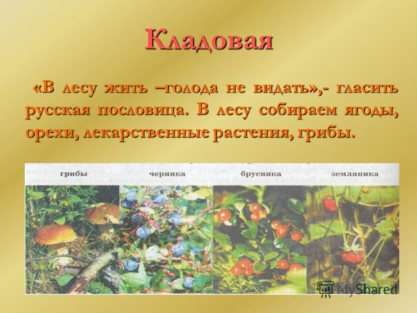 Осенние дары природы