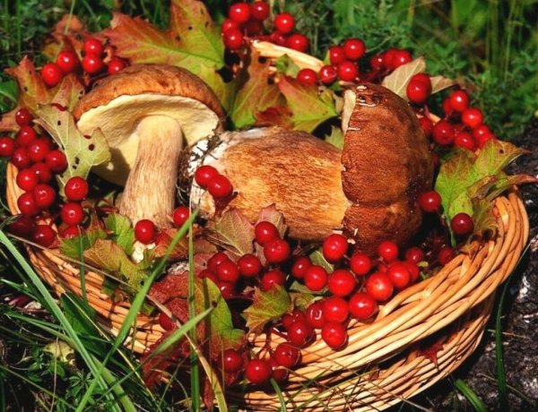 Рисование дары осени