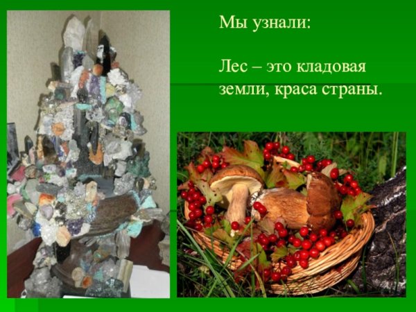 Лесные ягоды коллаж