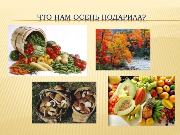 Растительный мир нашего края