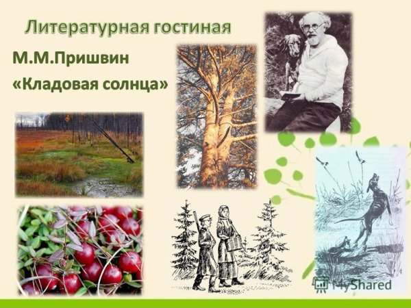 Грибы и ягоды