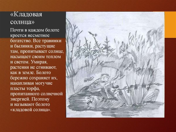 Пришвин кладовая солнца