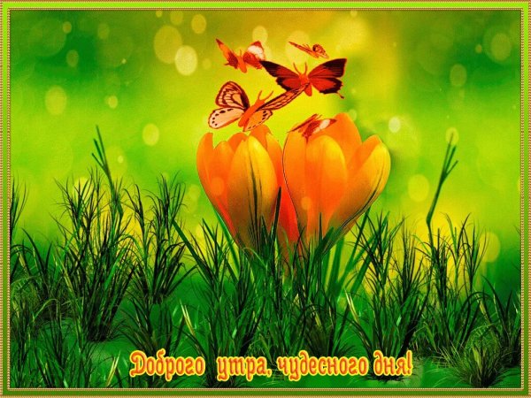 Доброго дня природа