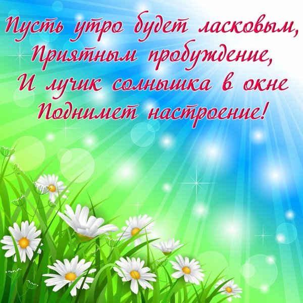 Открытки с добрым утром с ромашками