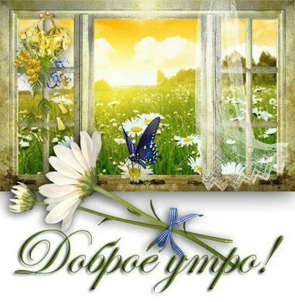 С добрым летним утром