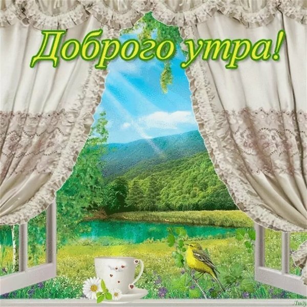 Доброе летнее утро