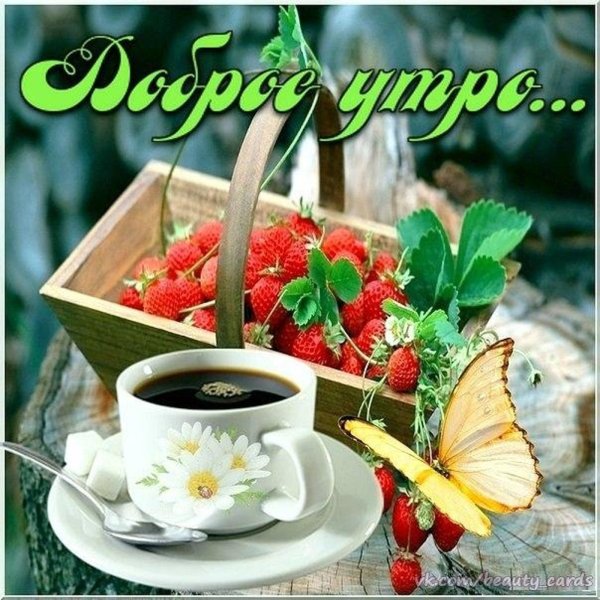 Красивые открыточки с добрым утром