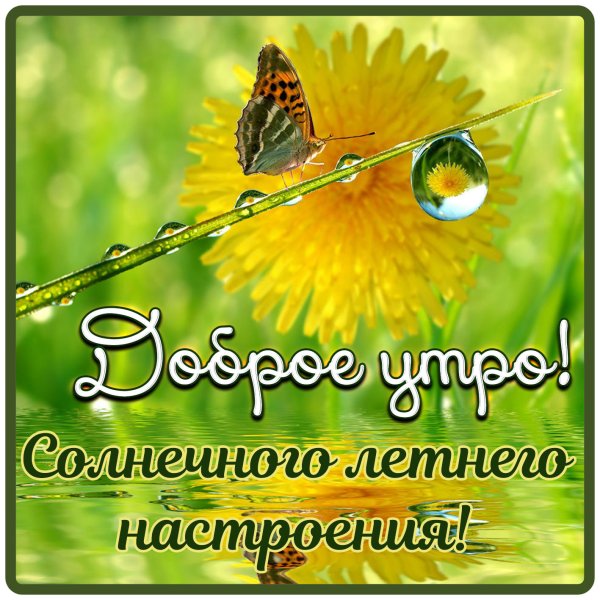 Солнечного утра и хорошего настроения