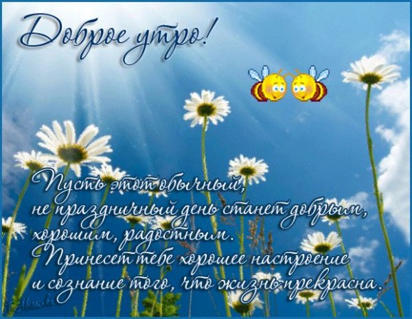 Доброе летнее утро пожелания