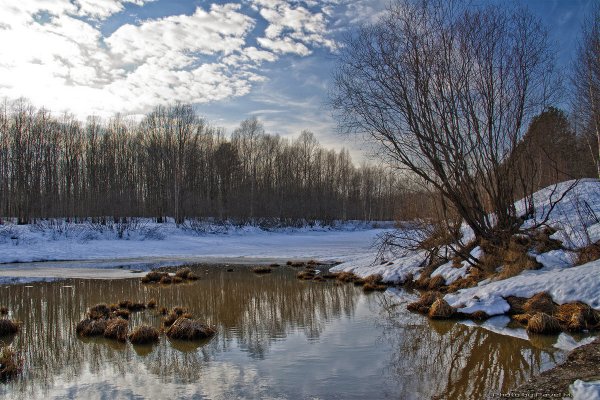 Весна природа пробуждается