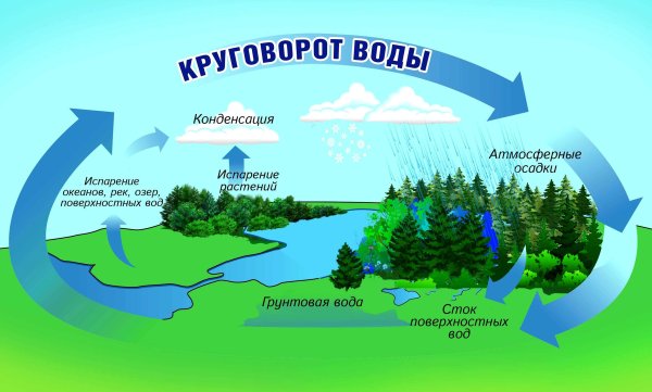 Схема круговорота воды в природе 8 класс