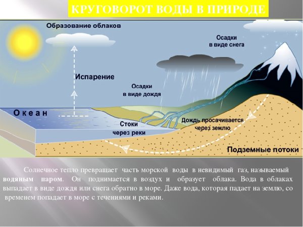 Круговорот воды в природе схема