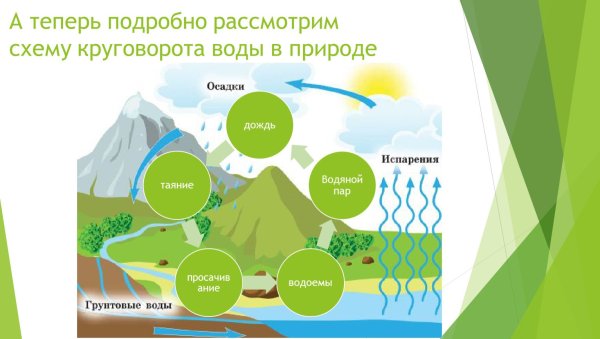 Круговорот воды в природе для детей
