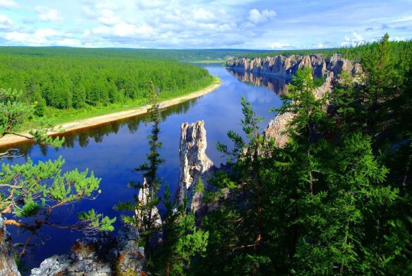 Тайга река Красноярск