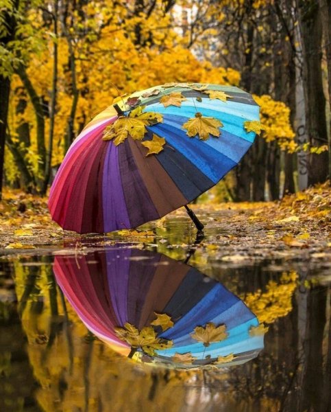 Природа арт
