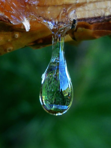 Вода капает