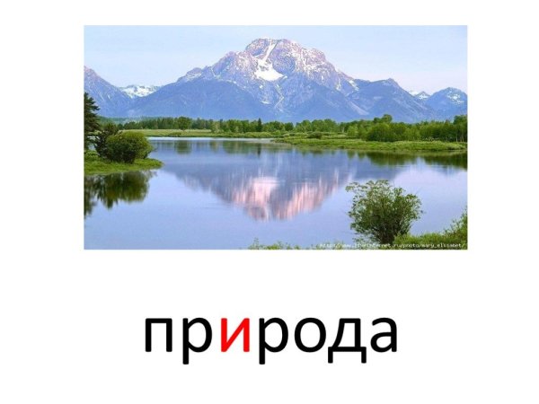 Природа словарное слово