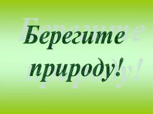 Берегите природу