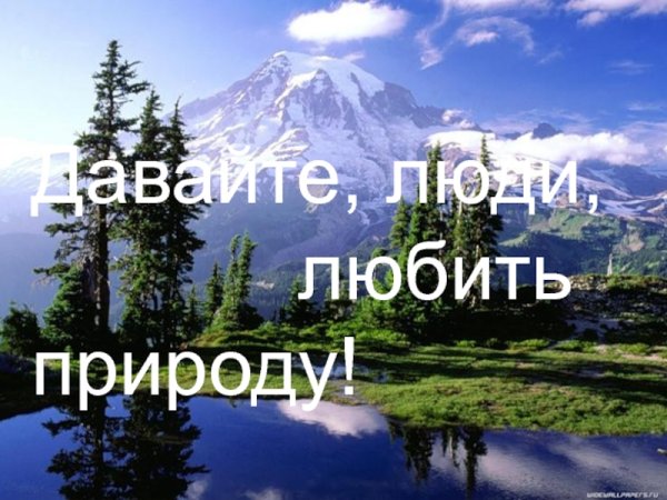 Высказывания об экологии