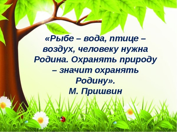Красивые цитаты про природу