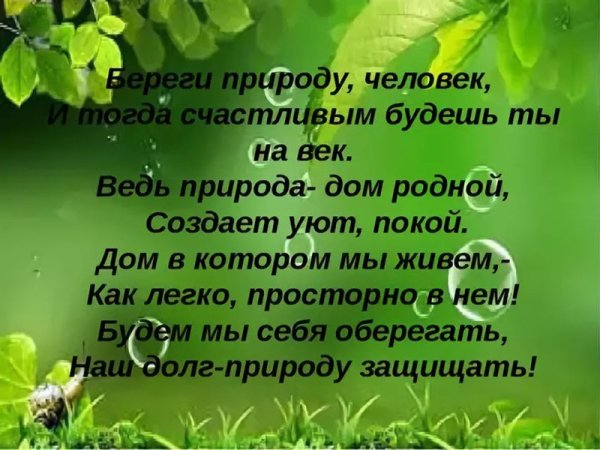 Надпись природа родного края