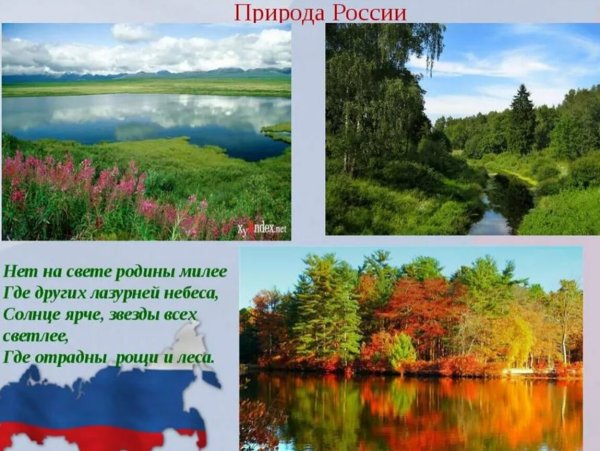 Цитаты про природу