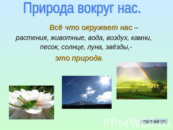 Красивые цитаты про природу
