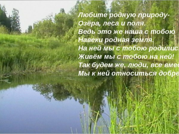 Живая неживая природа и рукотворный мир
