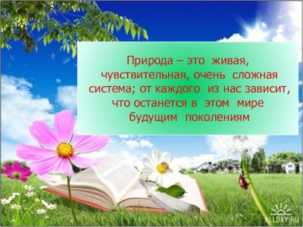 Фразы о родном крае