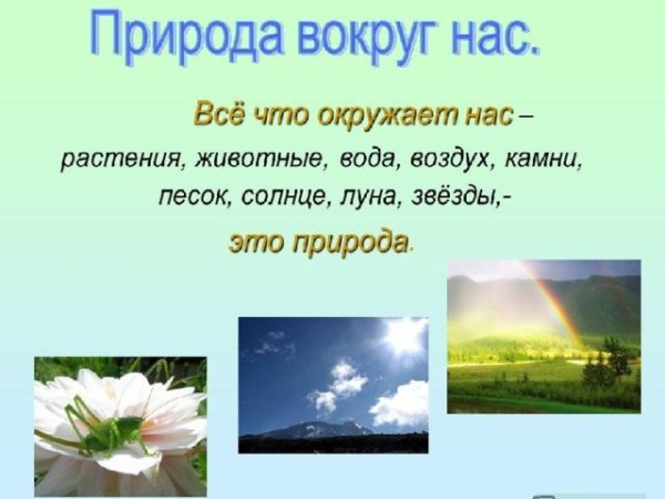 Красивые цитаты про природу