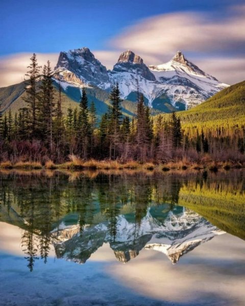 Коллаж природа