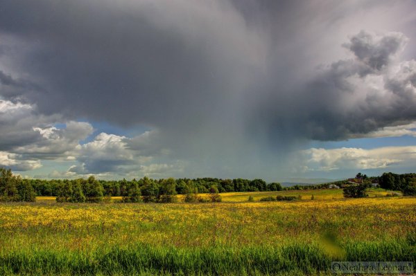 Природа сфинкс Тютчев