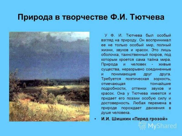 Произведения поэтов о природе