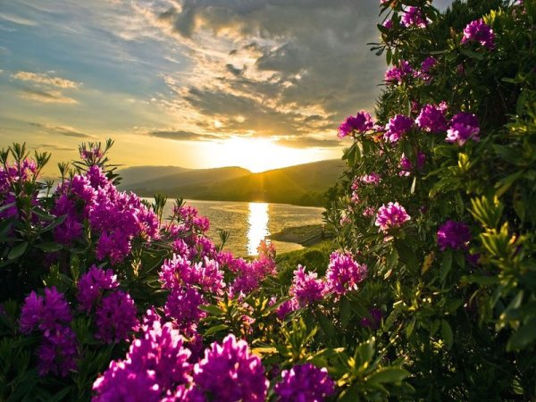 Красивая Сказочная природа