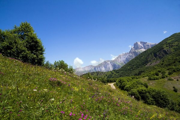 Северная Осетия горы Альпийские Луга