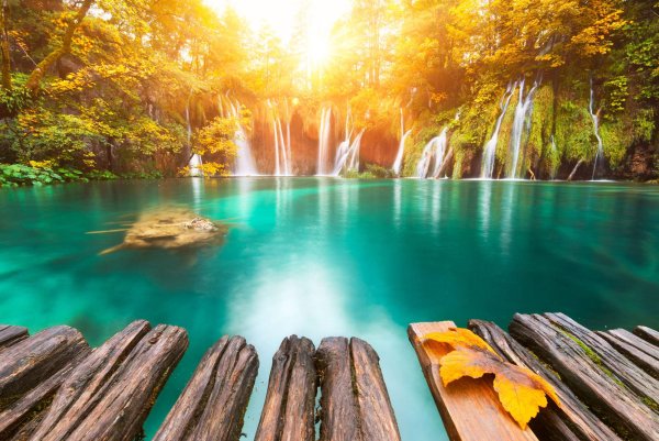 Фиолетовая природа