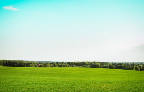 Поле панорама